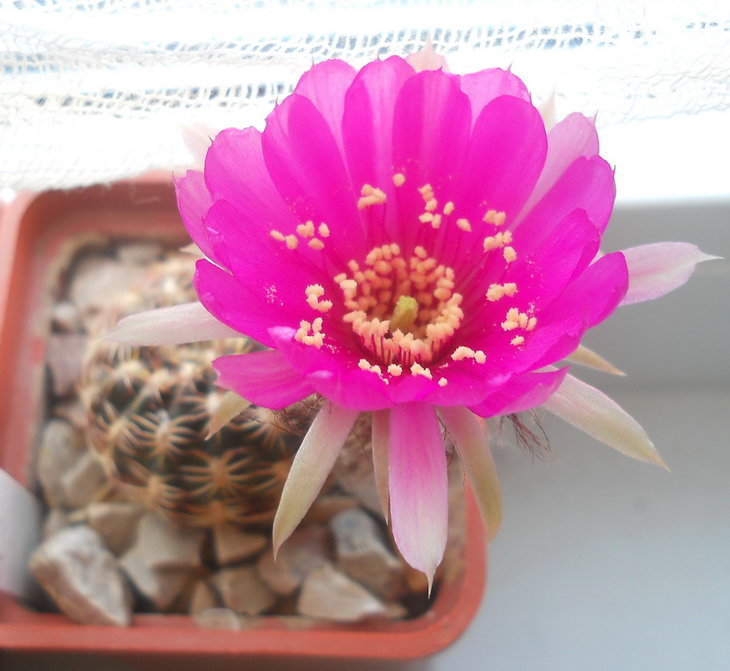 DSCN1752.1.jpg