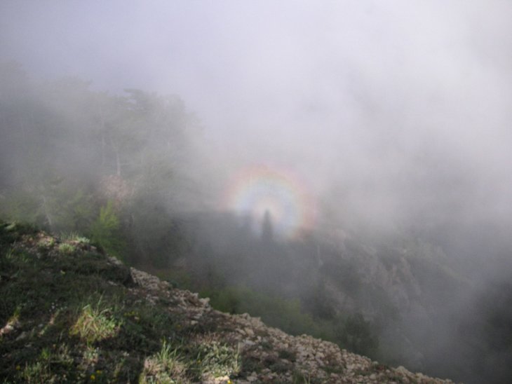 PICT0554_.jpg