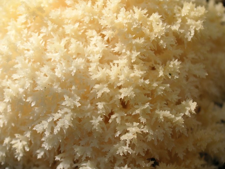PICT1513.jpg