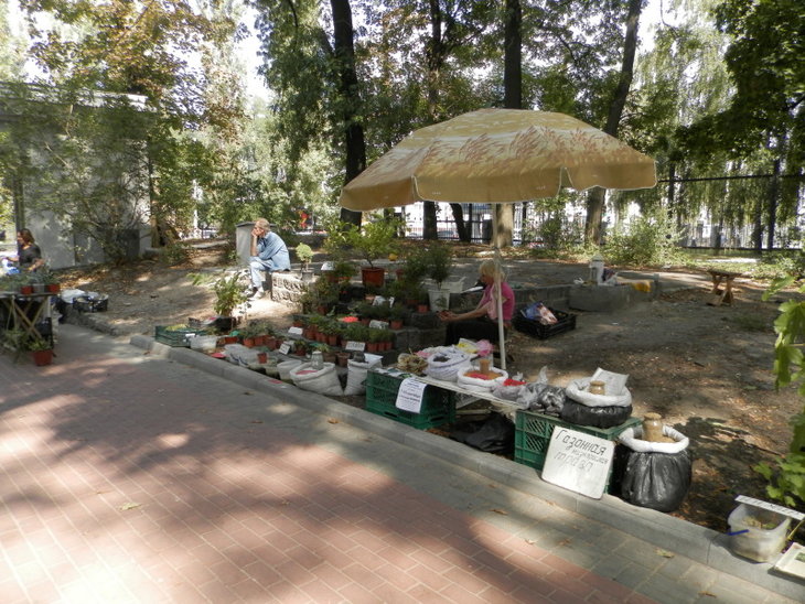 P8210220.jpg