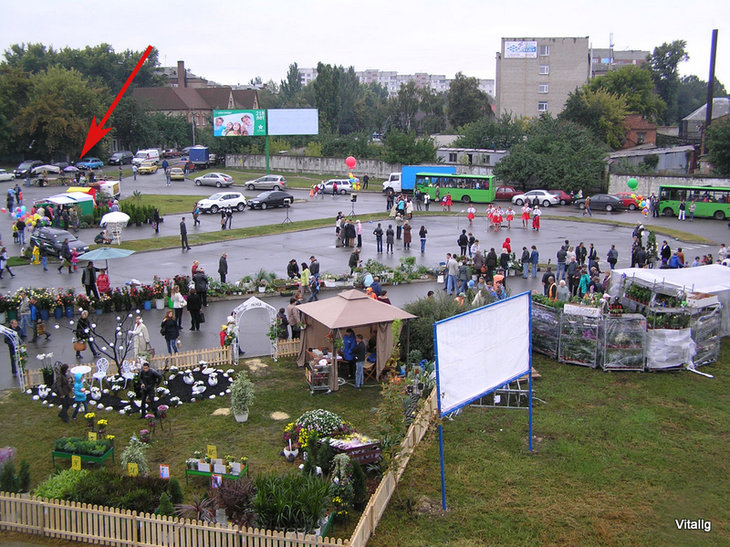 Стрелкой показано наше постоянное место на выставке цветов на День города.
