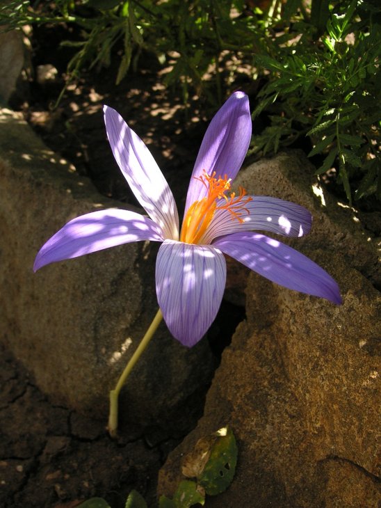 PICT0056.jpg