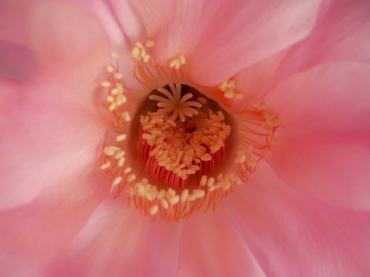 DSCN1261.JPG