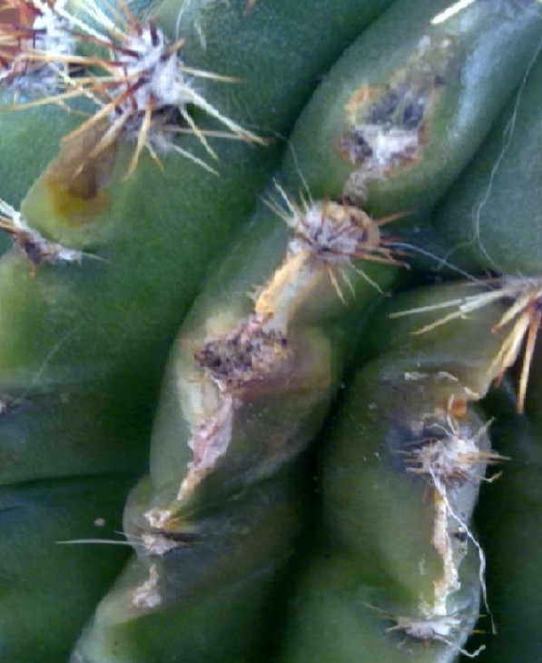 28092013575.jpg