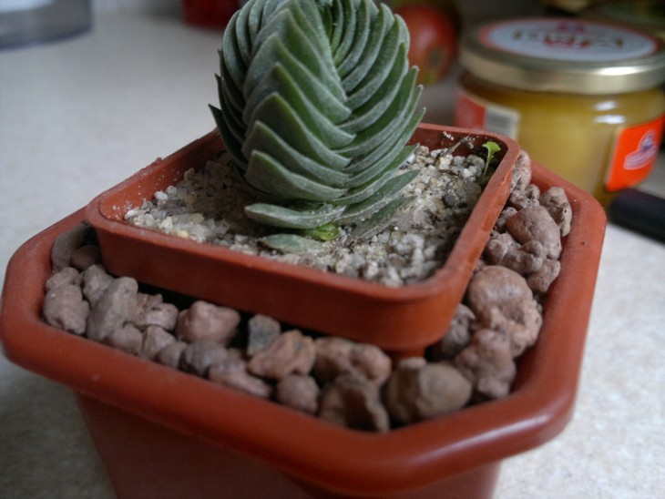 2013-10-03-142.jpg