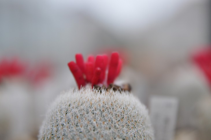 DSC_0145.jpg