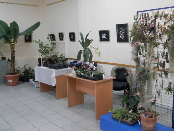 PA310671.JPG