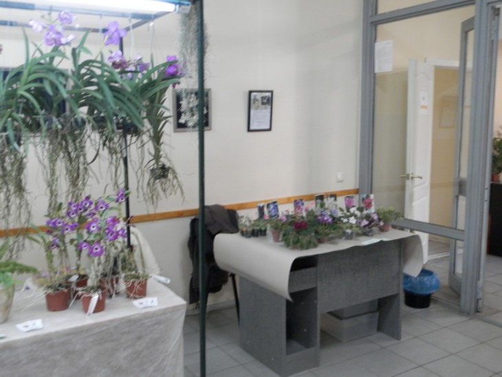 PA310675.JPG