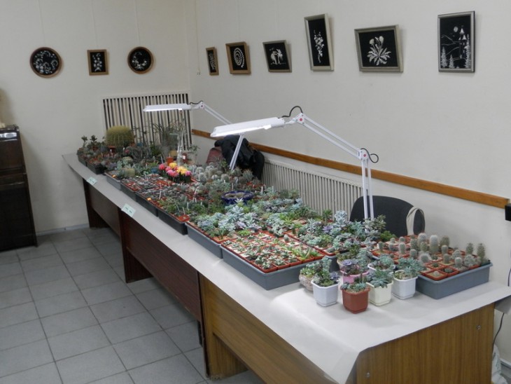 PA310683.JPG