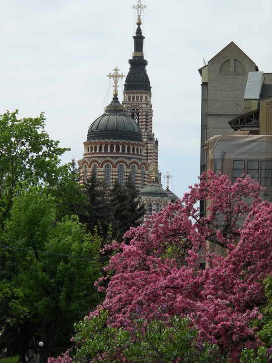 DSCN1394.jpg
