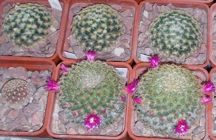 DSCN2804.JPG