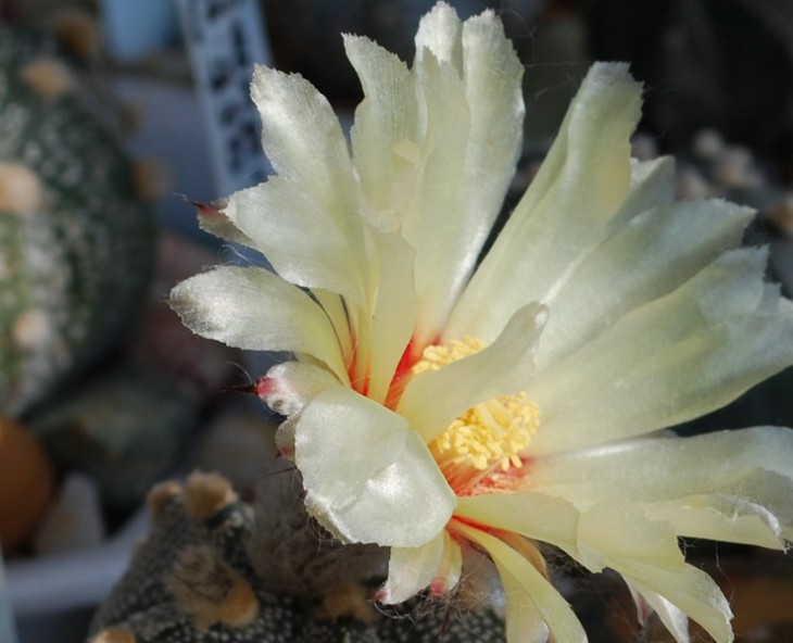 SI_0025.jpg