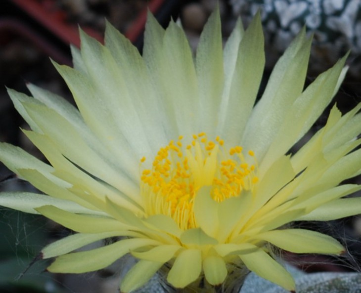 SI_0046.jpg