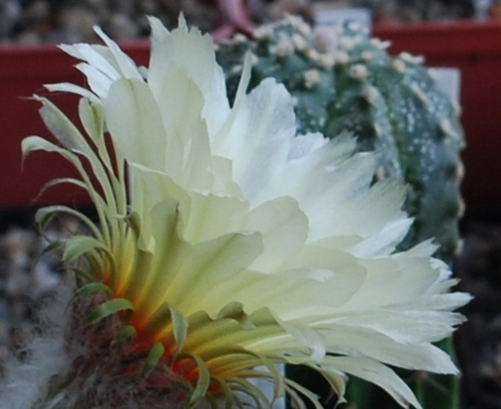 SI_0075.jpg