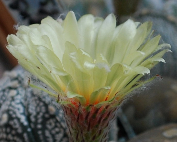 SI_0073.jpg