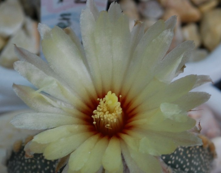 SI_0069.jpg