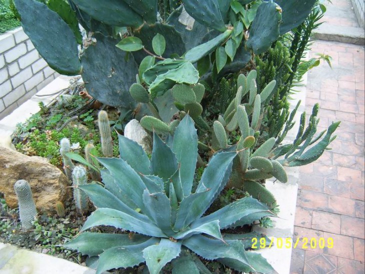 SV502136.JPG