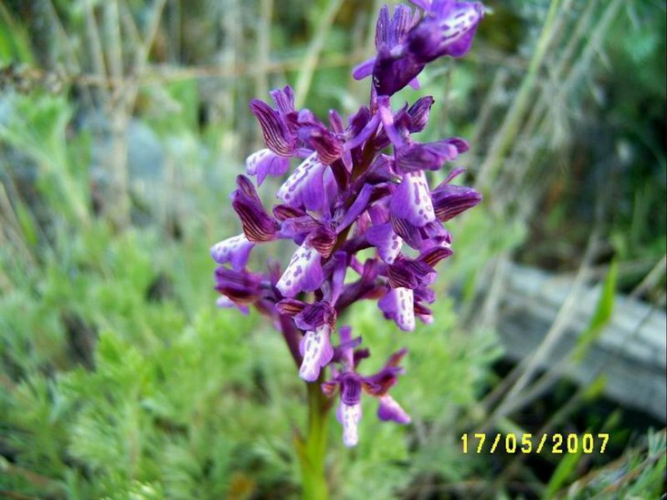 2007_22.jpg