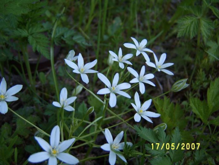 2007_24.JPG