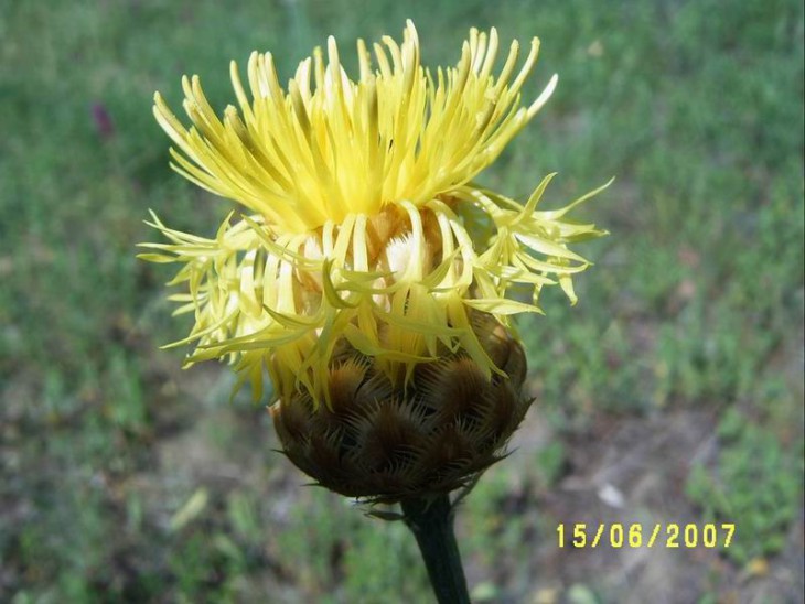 2007_08.JPG