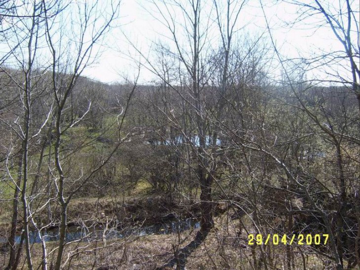 2007_29.JPG