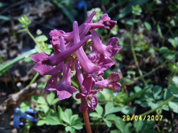 2007_13.JPG