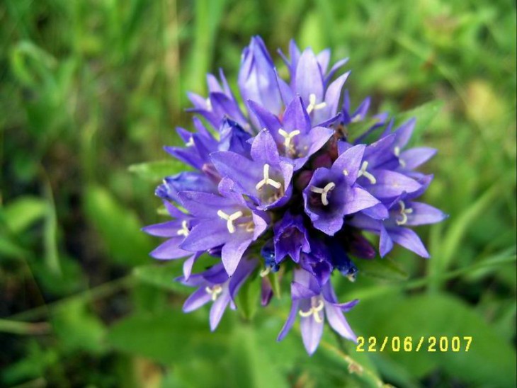 2007_05.JPG