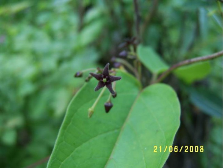 2008_03.JPG