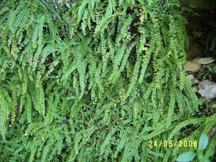 2006_03.JPG