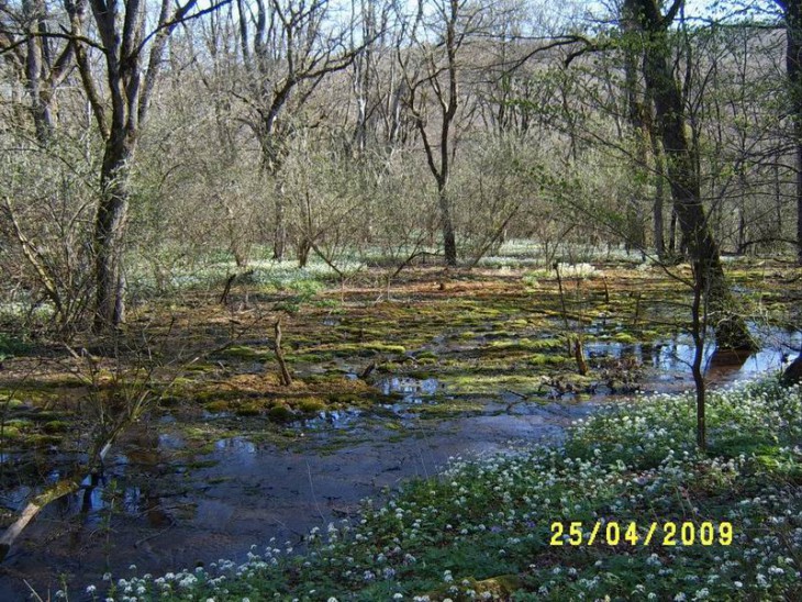 2009_Травертиновый02.JPG