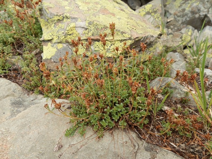 P9020180.JPG