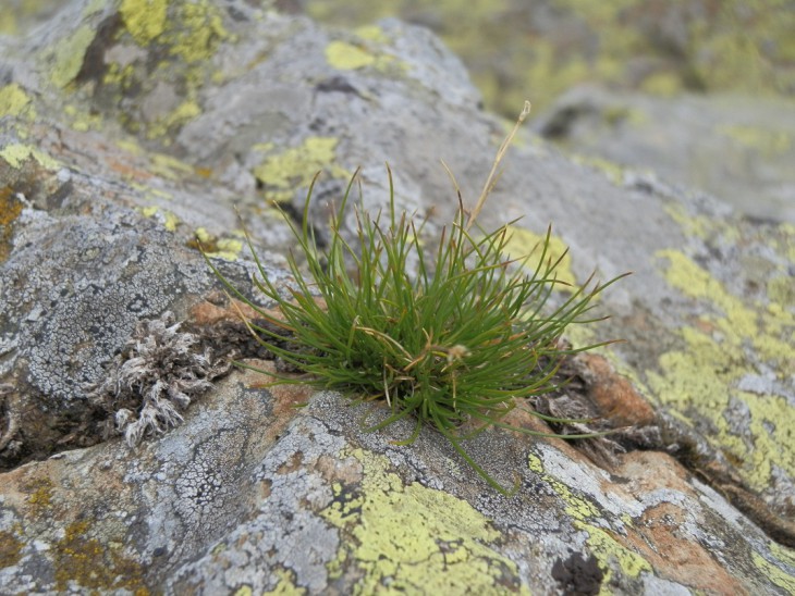 P9020265.JPG