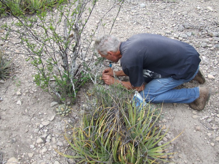 DSCF4000 SGB 133 = Rus 48, Morita, Ciudad del Maiz, SLP.jpg