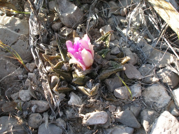 P1010216.jpg