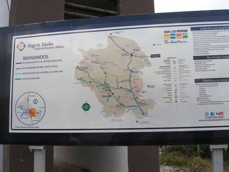 P1019501.jpg