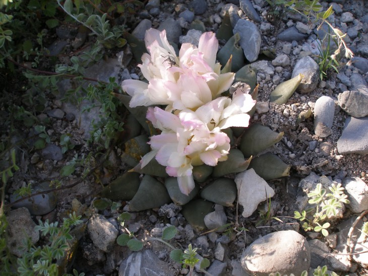 P1019760.jpg