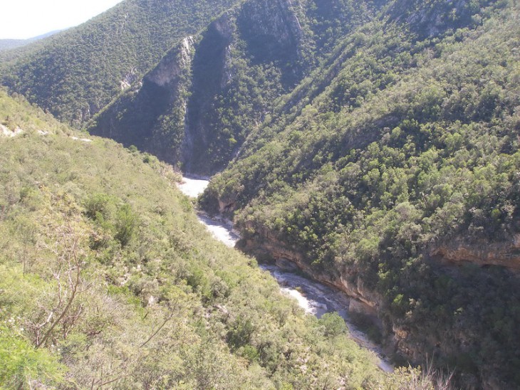 P1019771.jpg