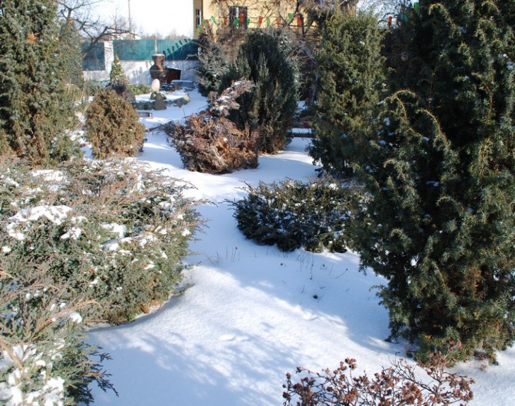 6-SI_1001-3.jpg
