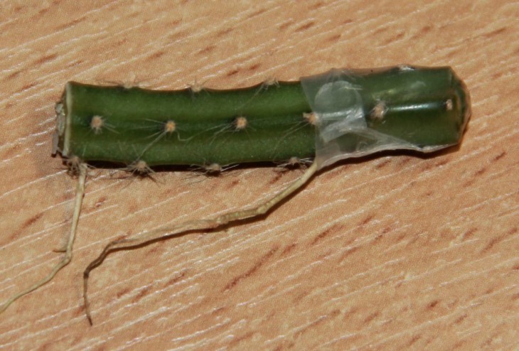 foto1.jpg