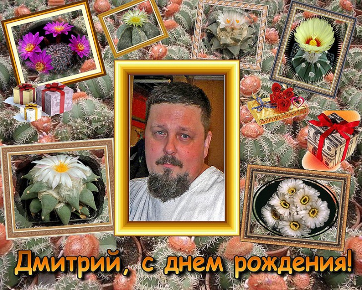 петров1.jpg