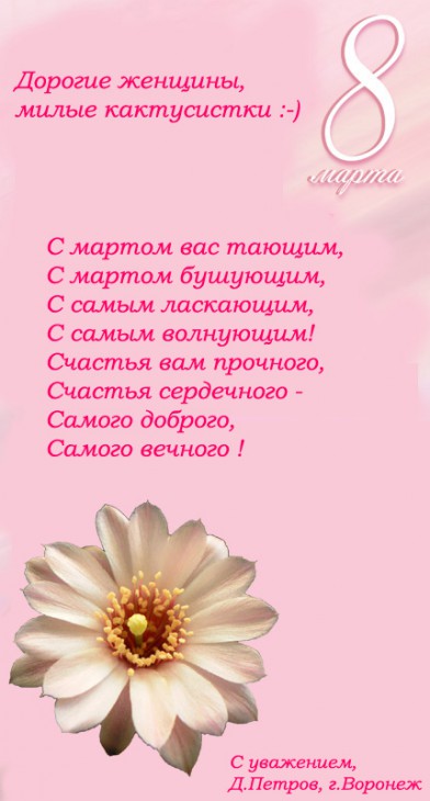 8м.jpg