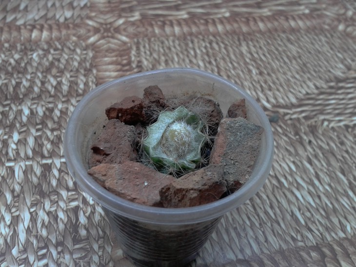 2014-03-28 06.39.30.jpg