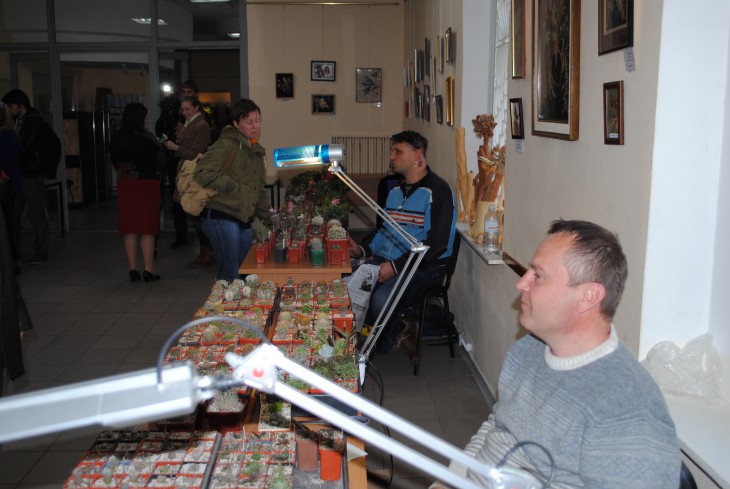 DSC_7181.JPG