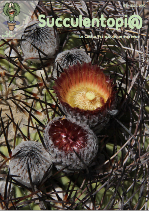 Succulentopia.png