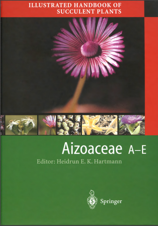 AE.png