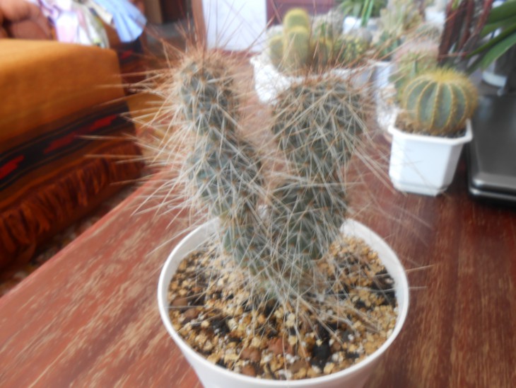 DSCN1933.JPG
