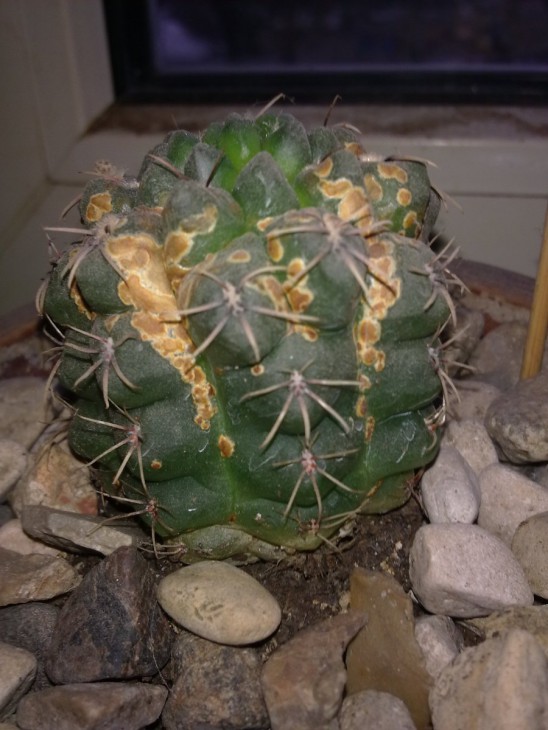 ABCD00032.JPG