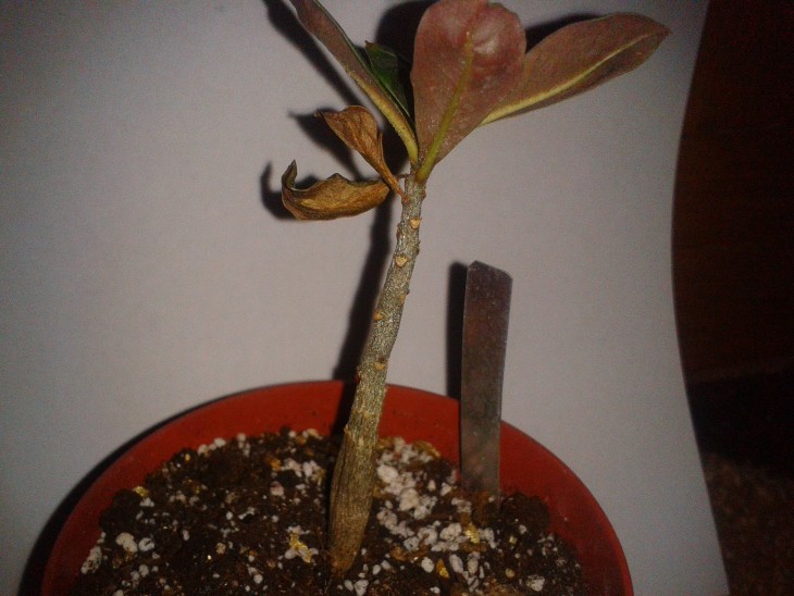 2014-04-13 12.19.26.jpg
