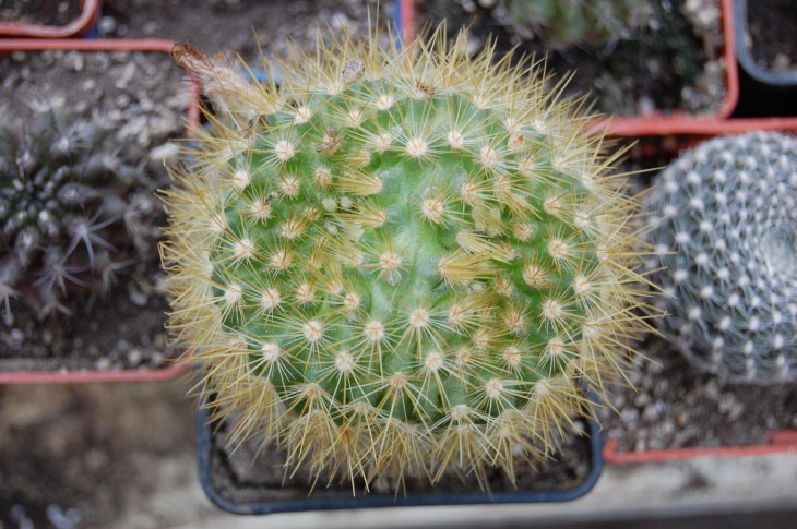 DSC_2878.jpg