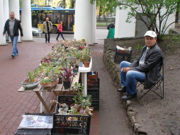 P1010273.JPG